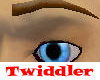 Bevel Eyebrows Cocoa