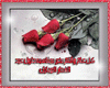 3eed mubark