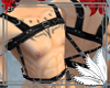 Ash Leather Harness M