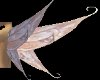 Beauty pink elf wing