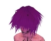 Purple Streak