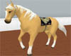 *PalominoSaddleHorse