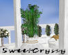 Grecian Planted Urn