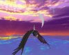 Sunset Passions Flight