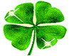 lucky clover