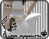 *A Bunny Tail