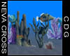 NC Sea Life 1