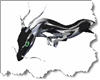 B&S Double Dragons