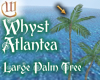 Large Palm Tree