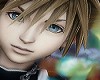 sora (ori)