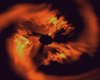 Fire Storm Male Eyes
