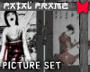 Fatal Frame Picture Set