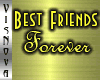 *VN�BEST FRIENDS FOREVER