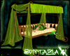 Canopy Hammock