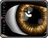 *L� iSheen Brown