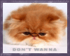 Don't Wanna