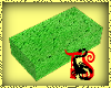 TS Green Sponge
