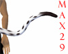Dalmation Tail