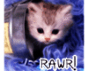 Cat "Rawr!"