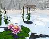 winter lili pond