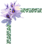 sticker_1537002_13454403