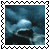 sticker_13839705_33528174