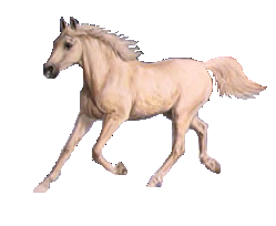 sticker_26404585_40049291