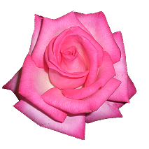 sticker_18281488_25699768