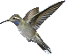 sticker_20243000_41777510