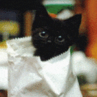 sticker_5422686_20125072