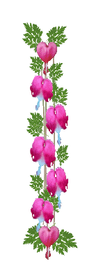 sticker_6135606_36360105
