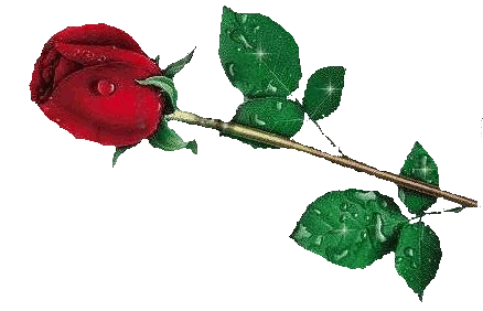 sticker_22134648_37874838