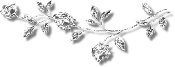 sticker_19357874_31969985