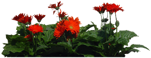 sticker_23663428_40613016