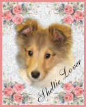 sticker_22991577_33811937
