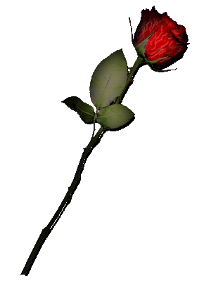 sticker_13214246_35086526