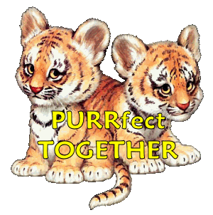 sticker_7723221_13731870