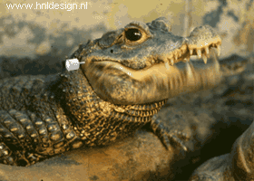 sticker_27712528_47368555