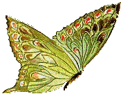 sticker_21511406_29040158