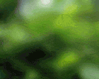 sticker_9147000_33844440