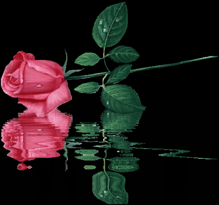 sticker_10572108_14457556