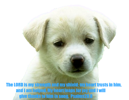 sticker_11175995_28112365