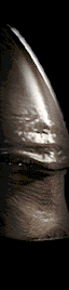 sticker_12413420_19179816