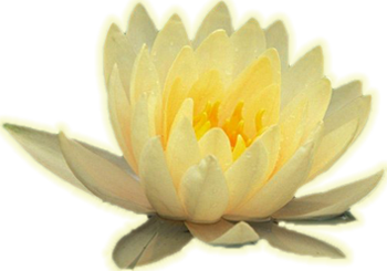 sticker_16984682_28343201