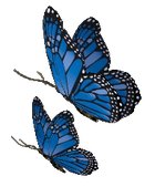 sticker_8192638_29633894