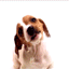 sticker_18634097_24401864