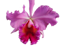 sticker_6150995_9727727