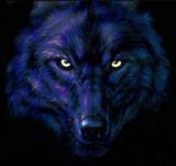 sticker_14106640_31590387