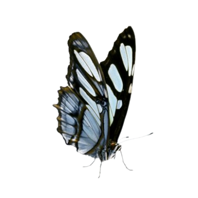 sticker_17652463_46748533