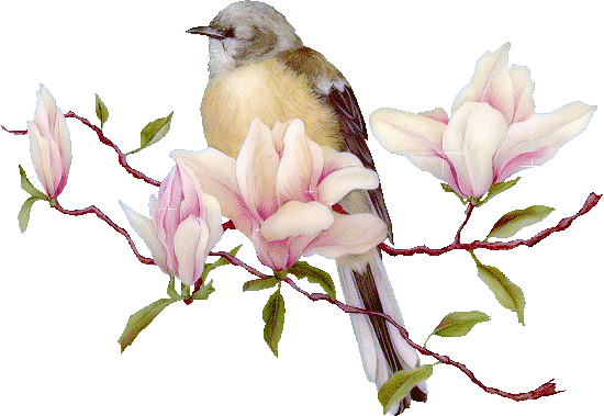 sticker_11953067_25448525